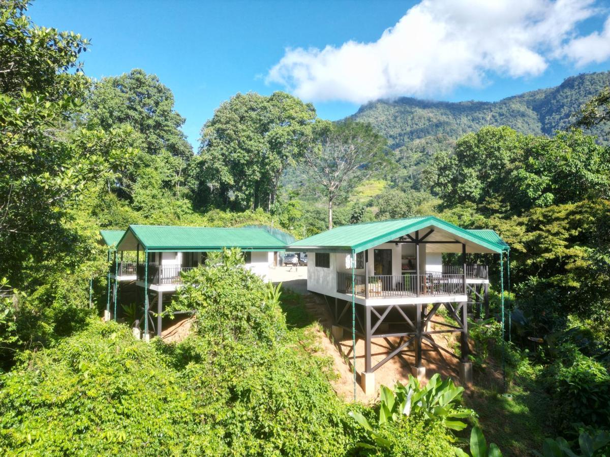 Lodge Jungle Passion *