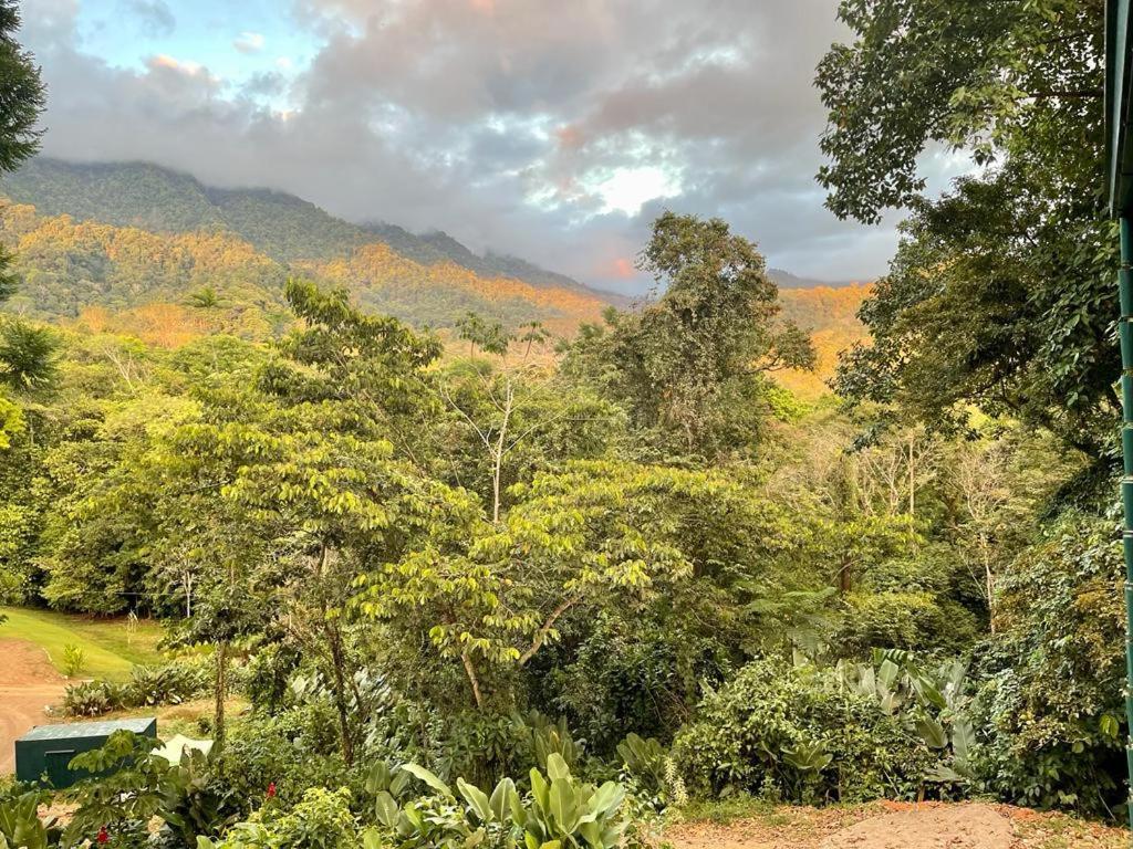Jungle Passion Ojochal