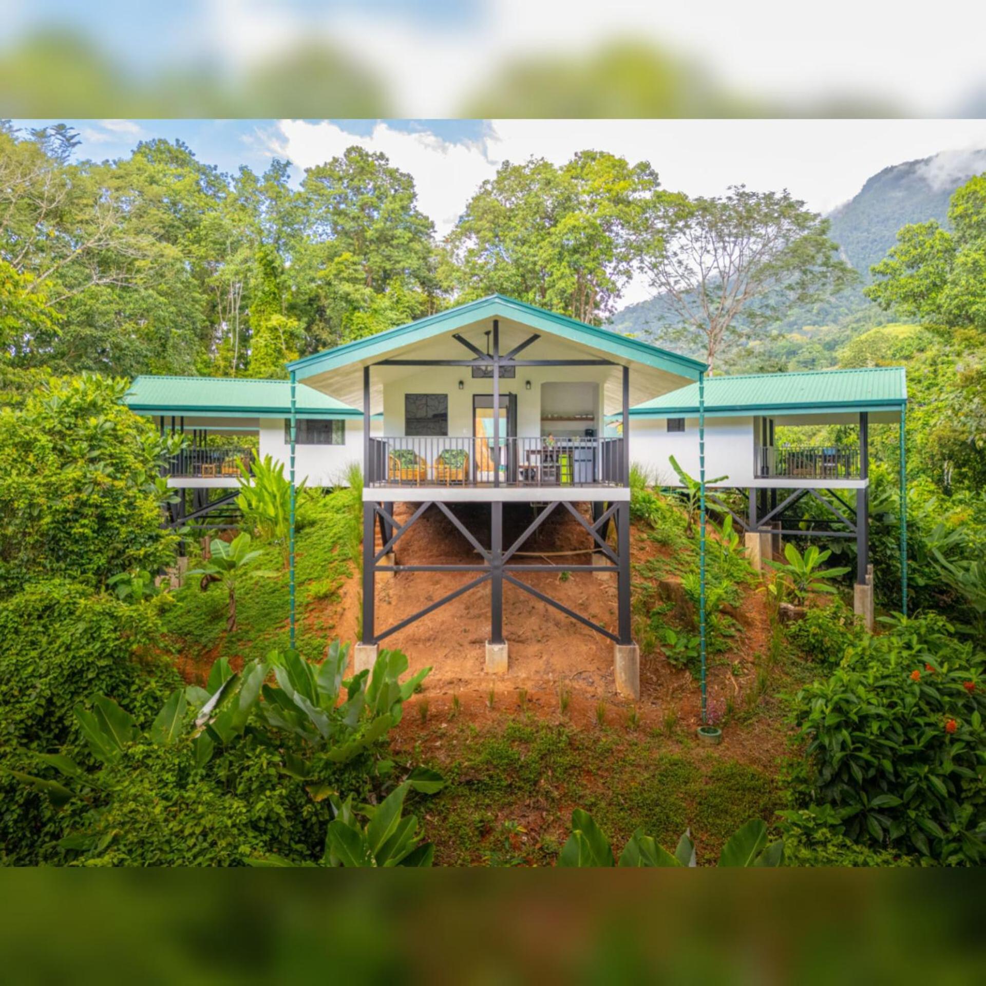 Jungle Passion Lodge *